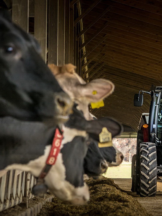 Dairy Tractor